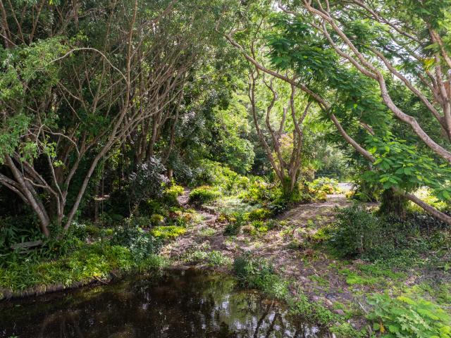 Property for sale in Kings Creek, Queensland