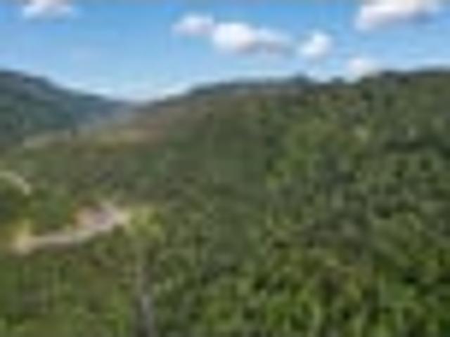 Land for sale in Waikato
