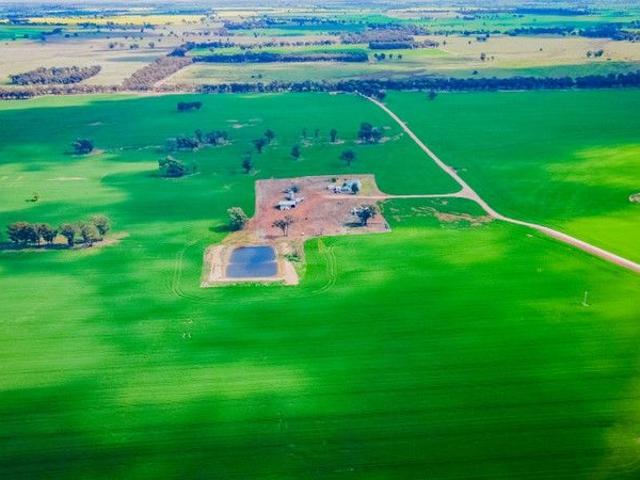 Acreage for sale in Bectric, New South Wales