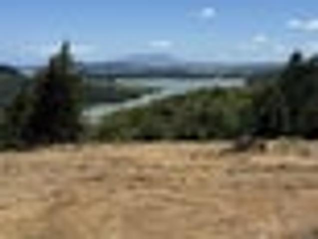Land for sale in Kawhia, Waikato