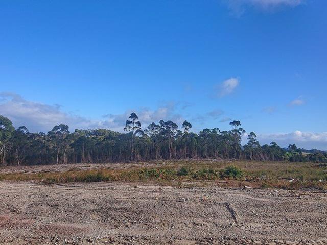 Land for sale in Heybridge, Tasmania
