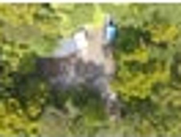 House for sale in Oratia