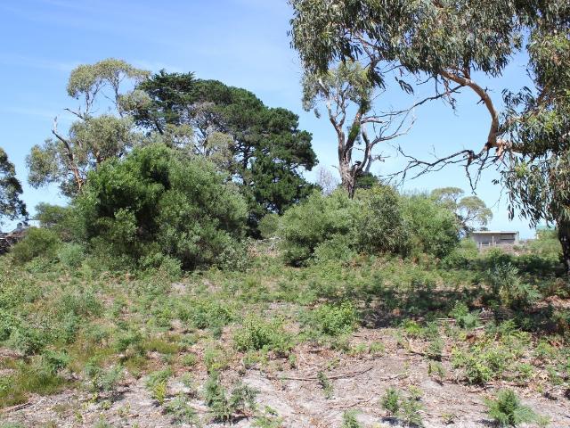 Property for sale in Robertsons Beach, Victoria