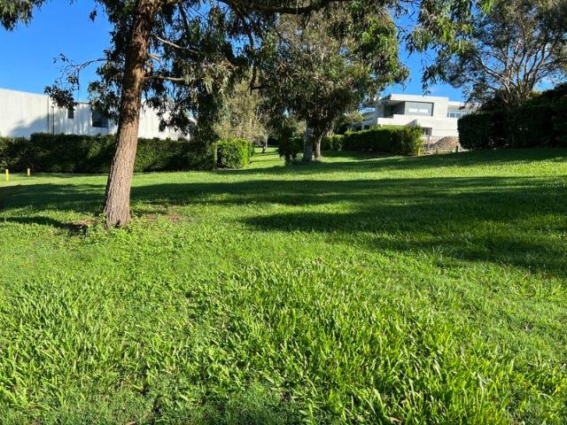 Land for sale in Fernbrook, Queensland