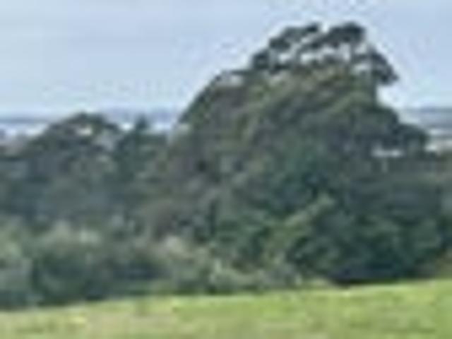 Land for sale in Kawau Island, Oroua County