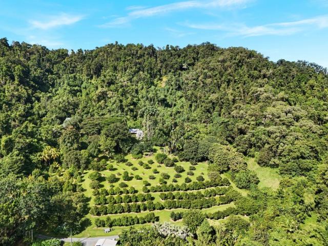 Property for sale in Whyanbeel, Queensland
