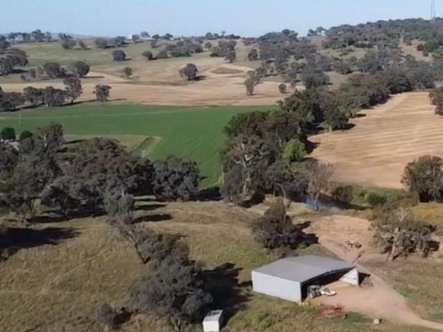 Cottage for sale in Billimari, New South Wales