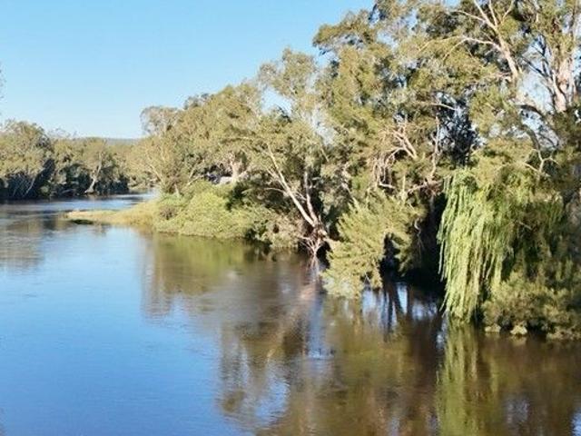 Cottage for sale in Bingara, New South Wales