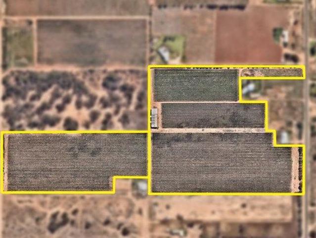 Cottage for sale in Mildura, Victoria