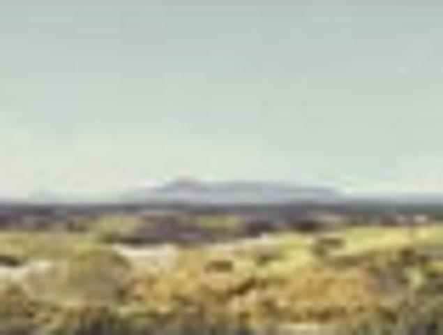 Land for sale in Kawau Island, Oroua County