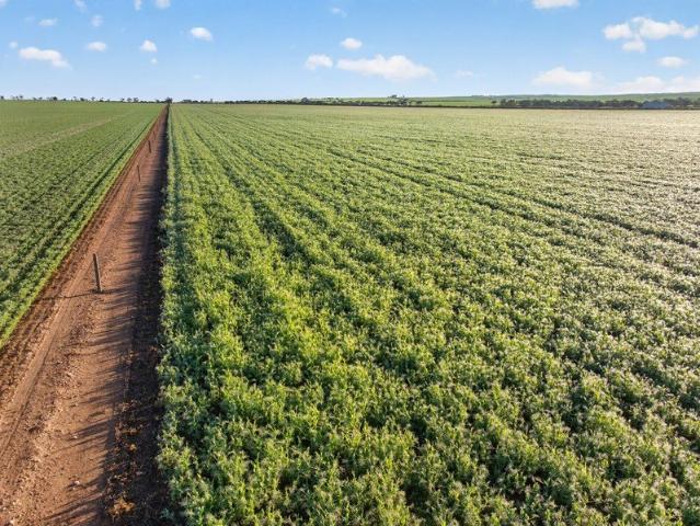 Property for sale in Hart, South Australia