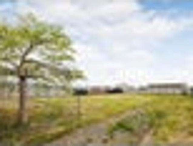 Land for sale in Feilding, Manawatū District