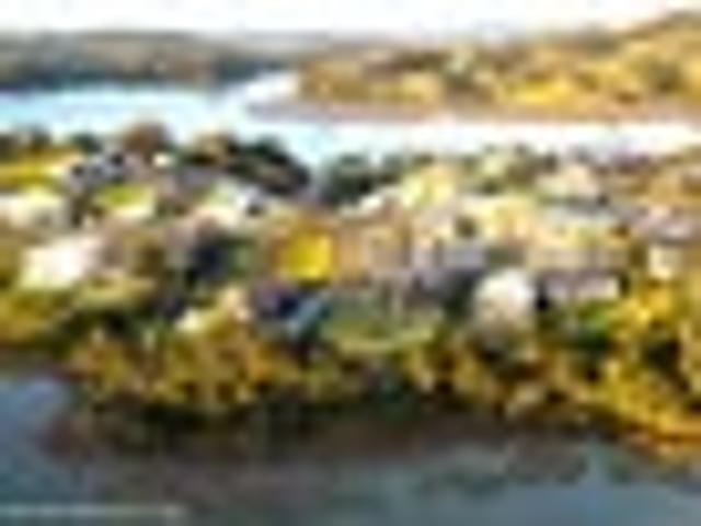 Land for sale in Raglan, Waikato