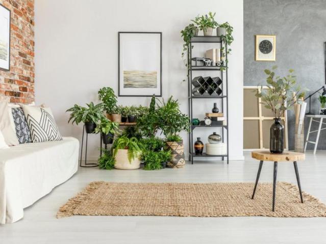 Appartement vente à Saint-Germain-en-Laye, Sartrouville