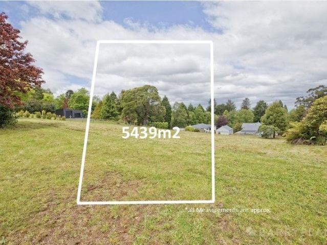 Land for sale in Camerons Creek, Victoria