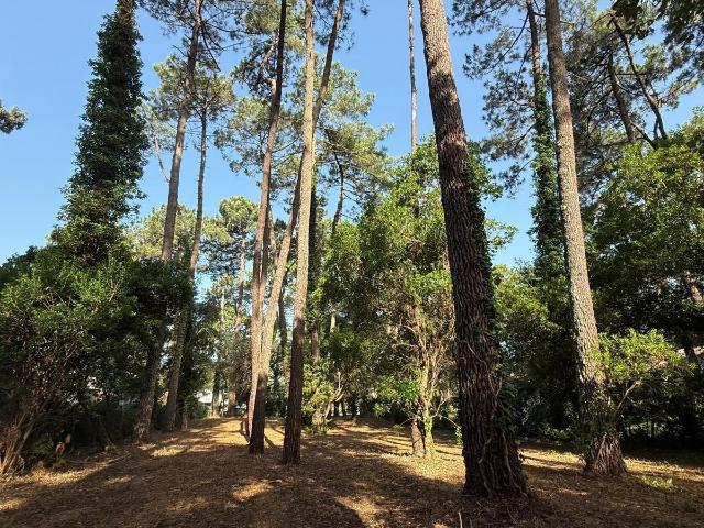 Terrain vente à Dax, Soorts-hossegor
