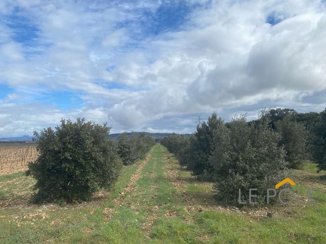 Terrain vente à Carpentras, Sainte-cécile-les-vignes