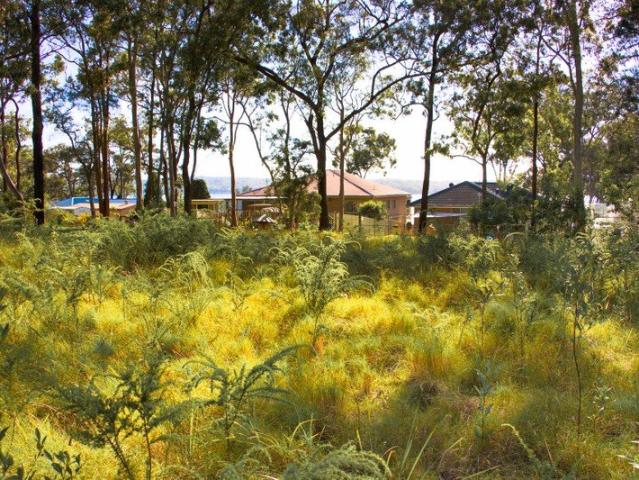 Land for sale in North Arm Cove, New South Wales
