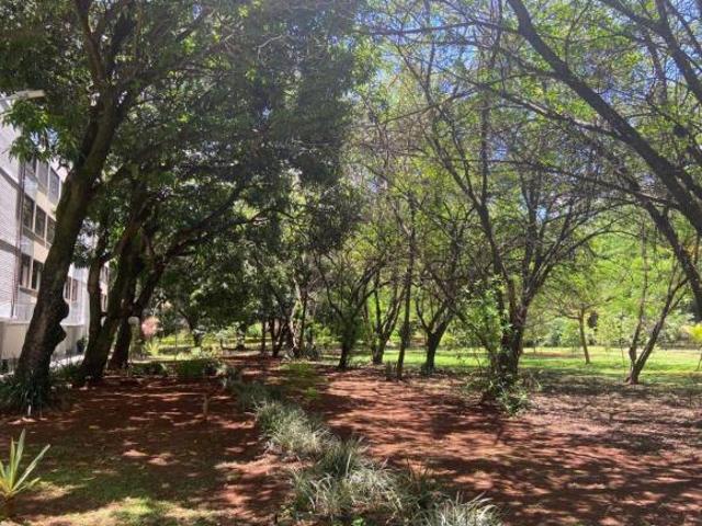 Apartamento venda em Região Geográfica Imediata do Distrito Federal, Região Integrada de Desenvolvimento do Distrito Federal e Entorno