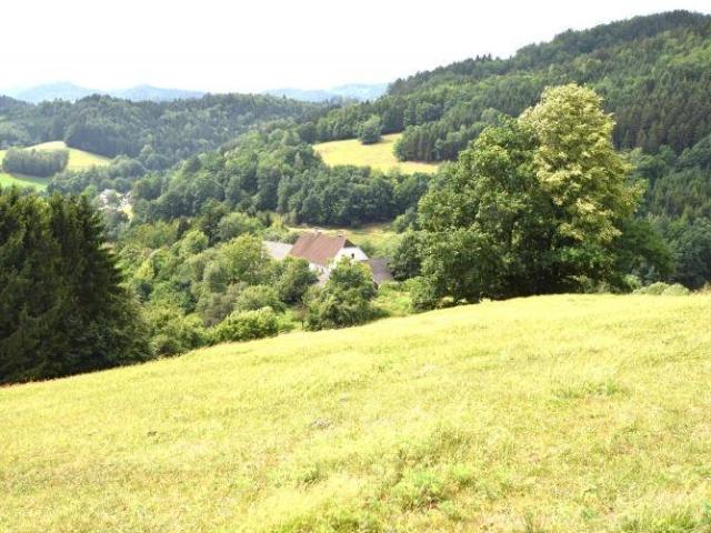 Haus kaufen in Waldhausen im Strudengau, Oberösterreich