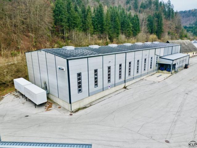 Gewerbe kaufen in Feistritz im Rosental, Kärnten