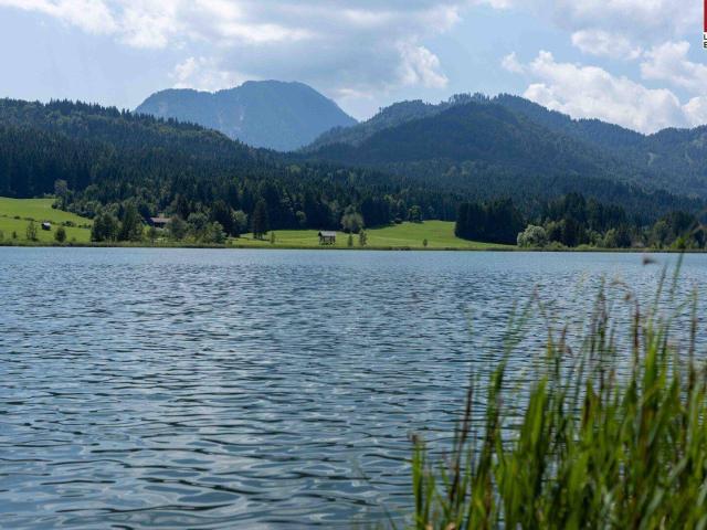Immobilie kaufen in Techendorf, Weißensee