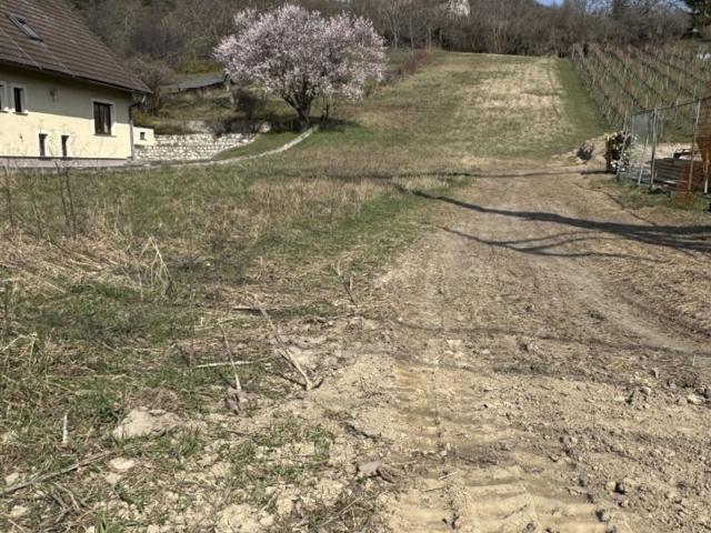 Grundstück kaufen in Langenzersdorf, Niederösterreich