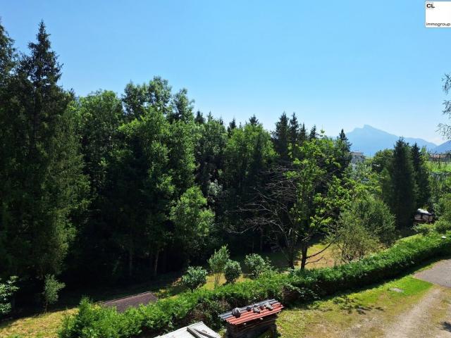Grundstück kaufen in Mondsee, Oberösterreich