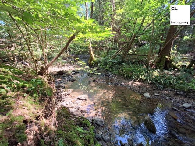 Grundstück kaufen in Mondsee, Oberösterreich