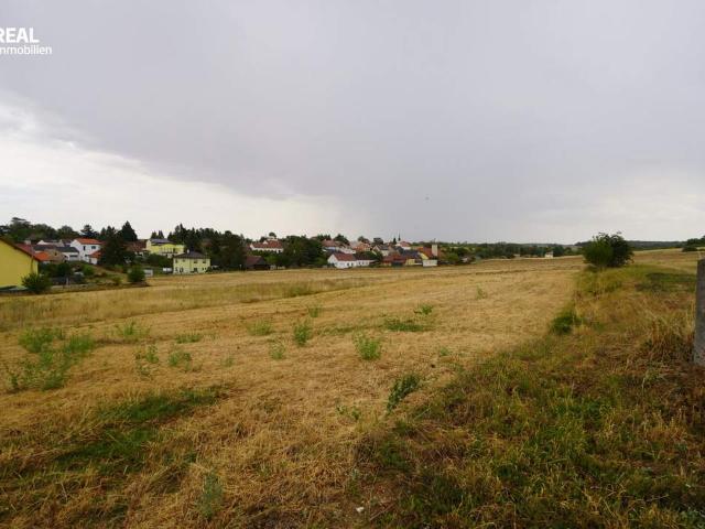 Grundstück kaufen in Hollabrunn, Niederösterreich