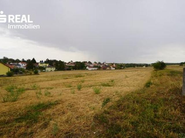 Grundstück kaufen in Magersdorf, Hollabrunn