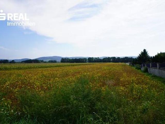 Grundstück kaufen in St. Bernhard-Frauenhofen, Niederösterreich