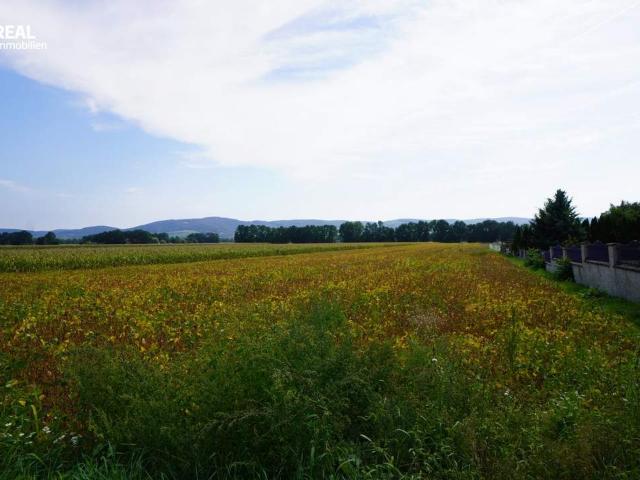 Grundstück kaufen in Tulln an der Donau, Niederösterreich