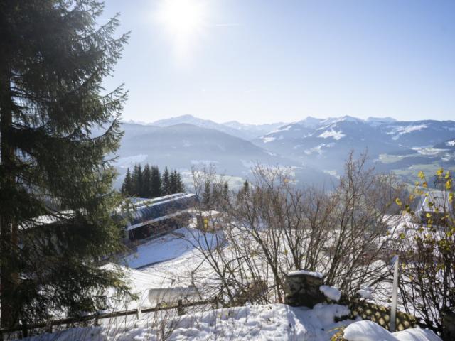 Immobilie kaufen in Hopfgarten i.Br., Tirol