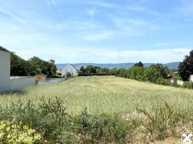 Grundstück kaufen in Oslip, Burgenland