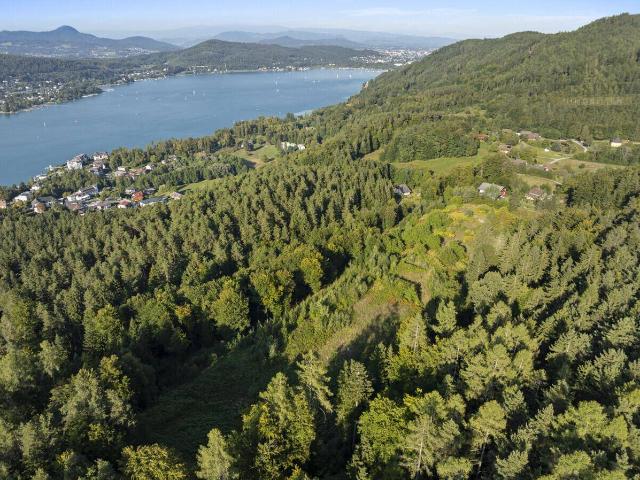 Immobilie kaufen in Sekirn, Maria Wörth