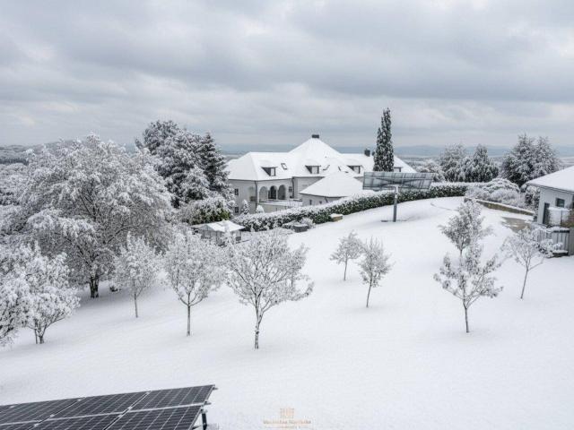 Immobilie kaufen in Steyregg Ost, Steyregg