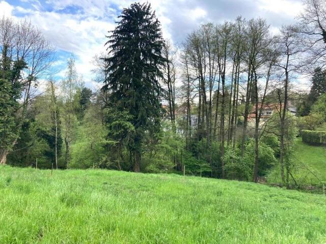 Grundstück kaufen in Andritz, Gersdorf-Feistritz