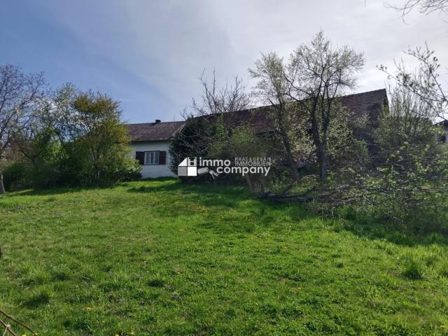 Haus kaufen in Güssing