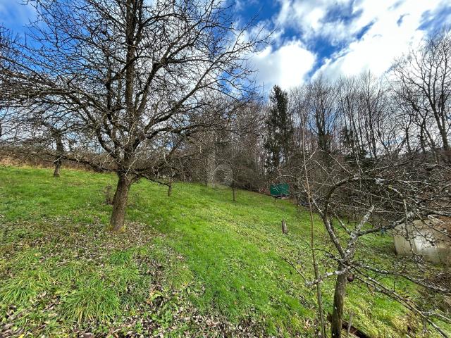 Einfamilienhaus kaufen in Heuberg, Koppl