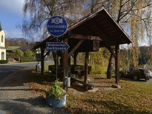 Haus kaufen in Loipersdorf bei Fürstenfeld, Steiermark