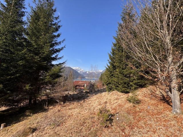 Grundstück kaufen in Buch, Tirol