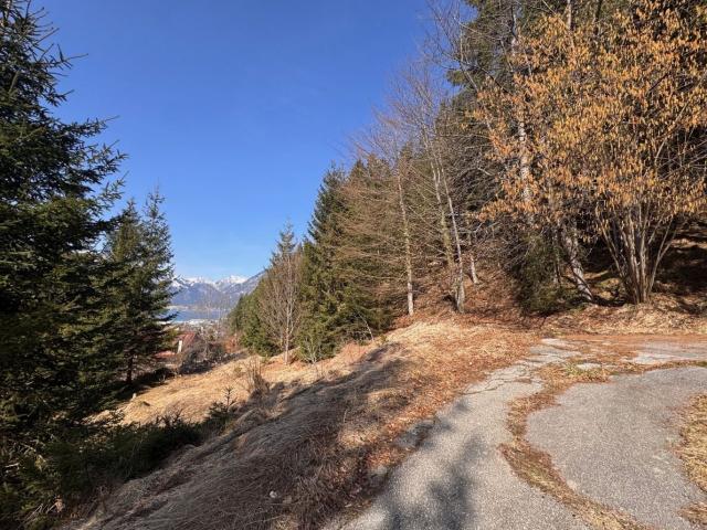 Grundstück kaufen in Buch, Tirol