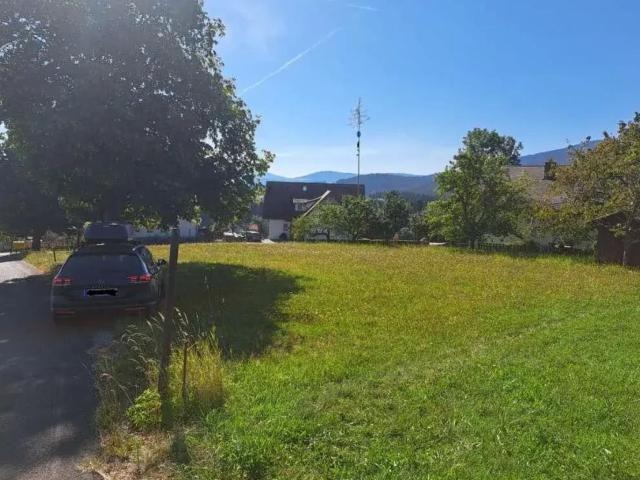 Grundstück kaufen in Wenigzell, Steiermark