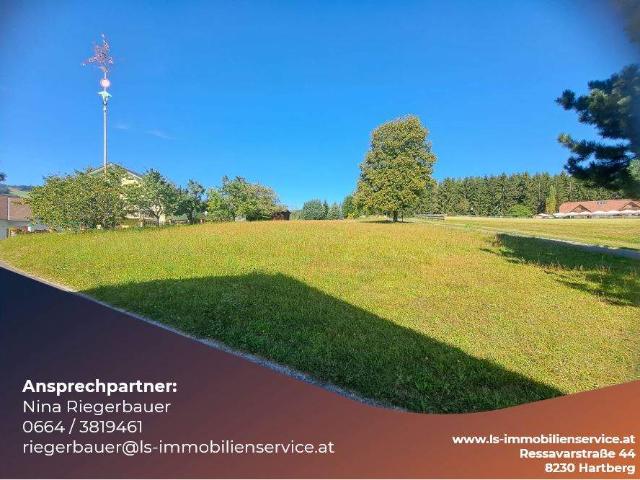 Grundstück kaufen in Hartberg, Steiermark
