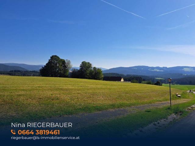 Grundstück kaufen in Steiermark