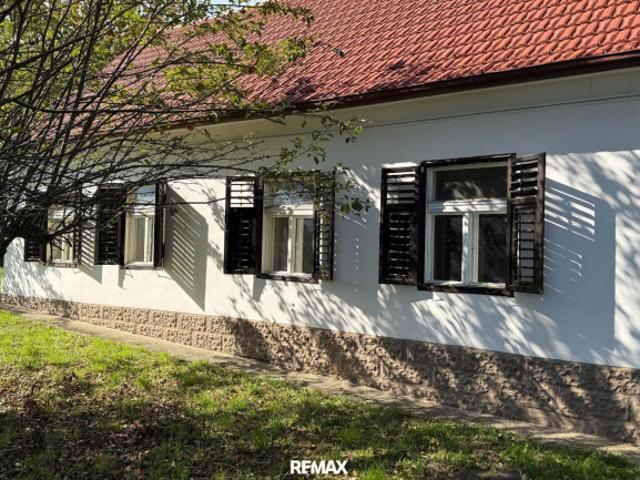 Einfamilienhaus kaufen in Burgauberg, Burgauberg-Neudauberg