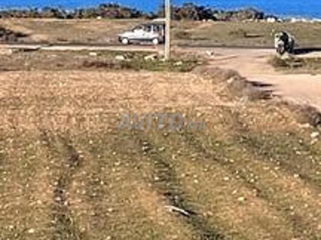 Propriété vente à Ras Kebdana