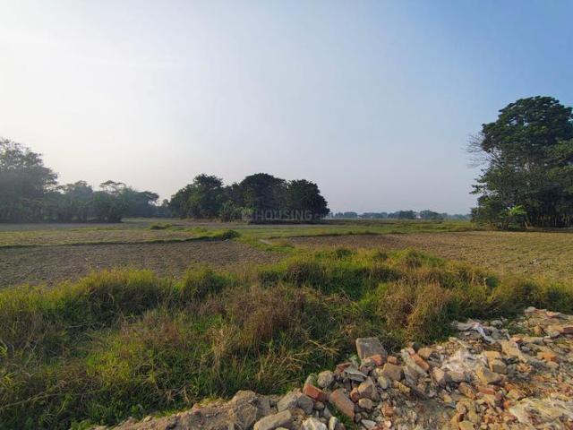 Land for sale in South 24 Parganas, Nahazari