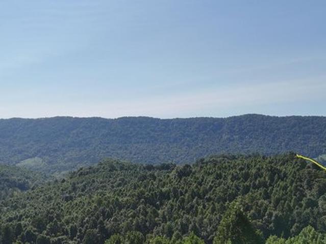 Land for sale in Virginia